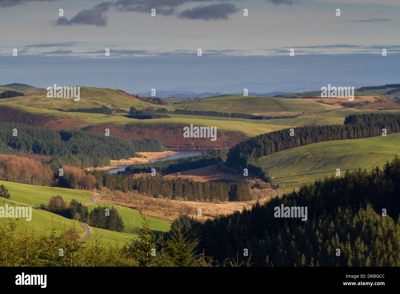 Blick über den walisischen Hügeln aus dem Hafren Wald in der Nähe von Llyn Clywedog Tpwards Shropshire Hügel. Powys, Wales. November. Stockfoto