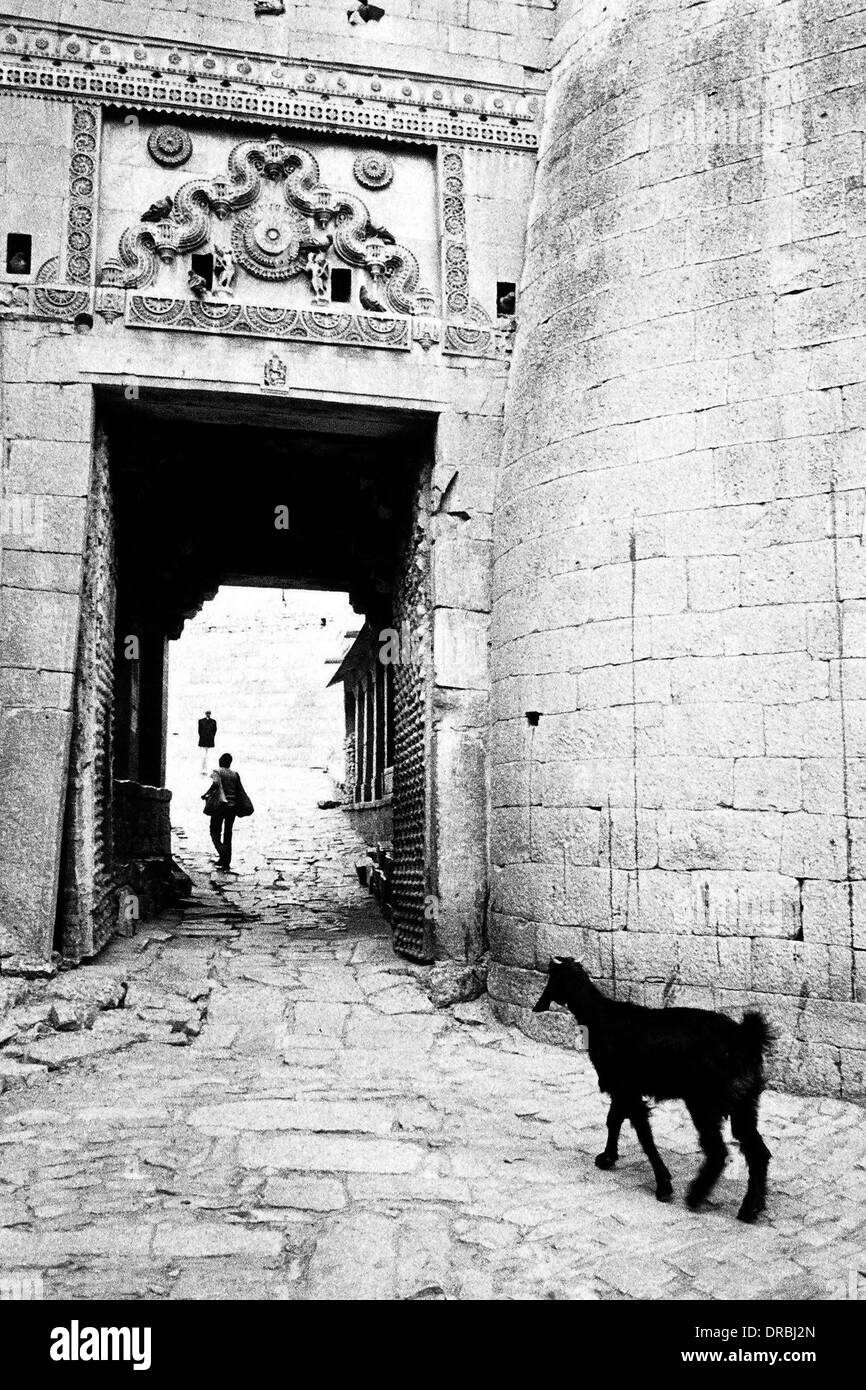 Ziege und Mensch, Fort Eingangstor, Jaisalmer, Rajasthan, Indien, 1984 Stockfoto