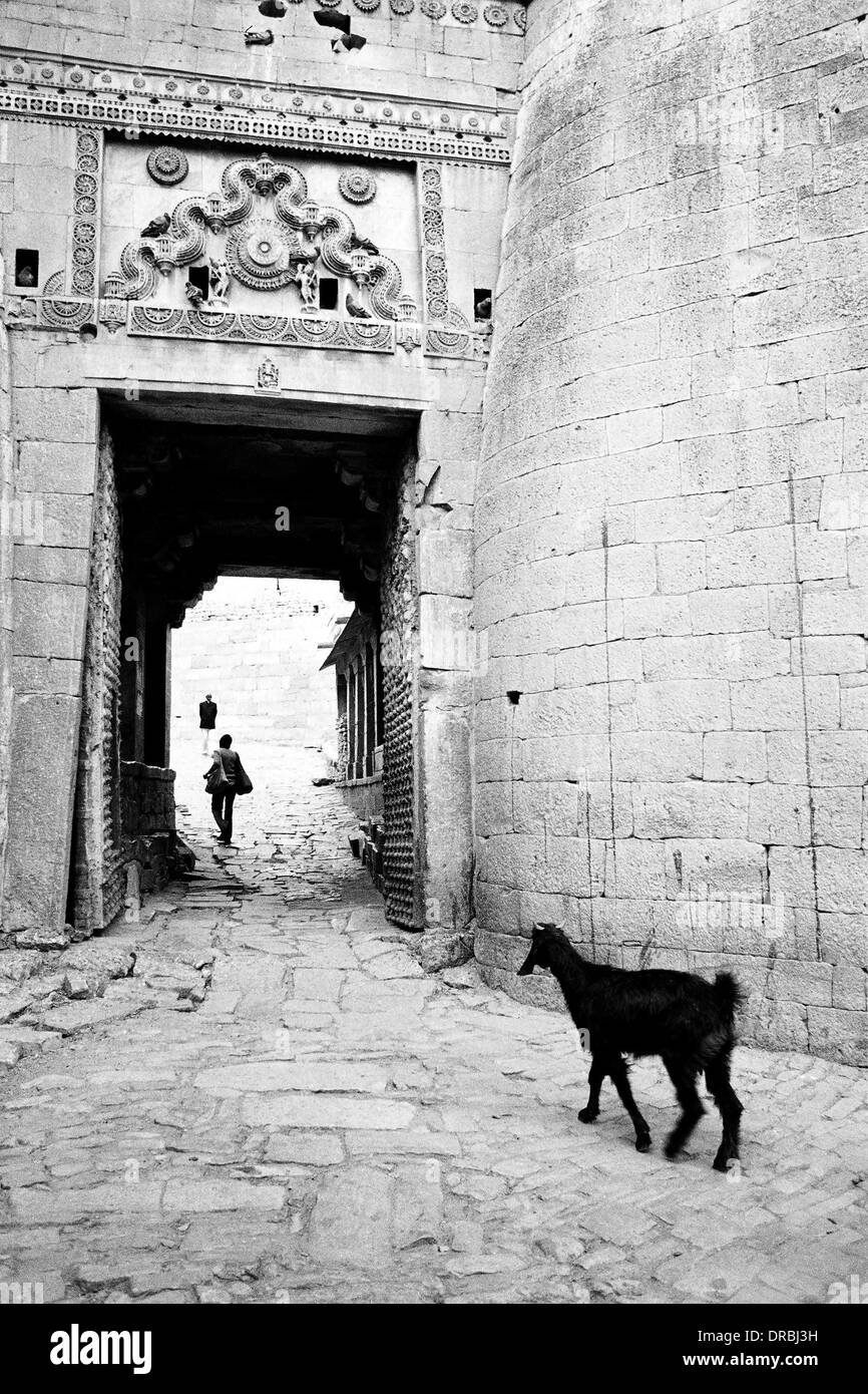 Ziege und Mensch Eingabe Fort, Jaisalmer, Rajasthan, Indien, 1984 Stockfoto