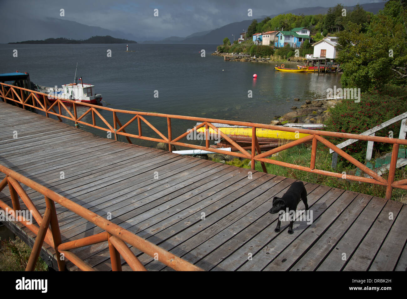 Hund an einem Anlegesteg mit Yellow Boats gefesselt am Strand in Puerto Eden Punta Arenas Patagonien Chile Südamerika. Stockfoto