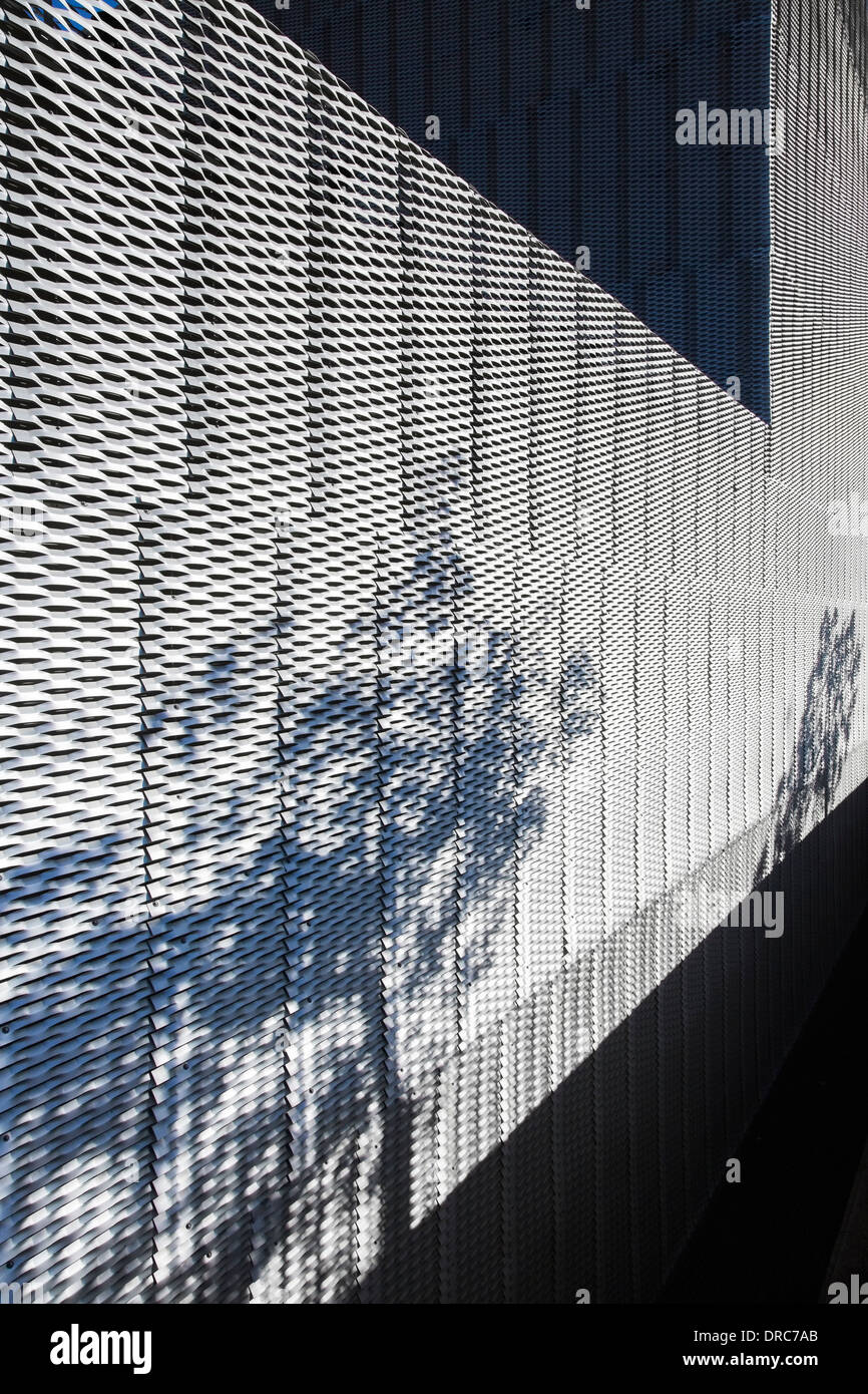 Pflanzen wirft Schatten auf strukturierte Wand moderne Gebäude Stockfoto