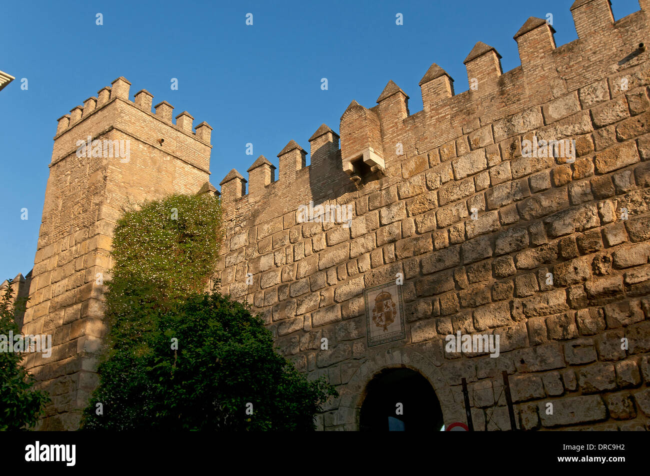 Region der königlichen Alcazar-Wände, Sevilla, Andalusien, Spanien, Europa Stockfoto