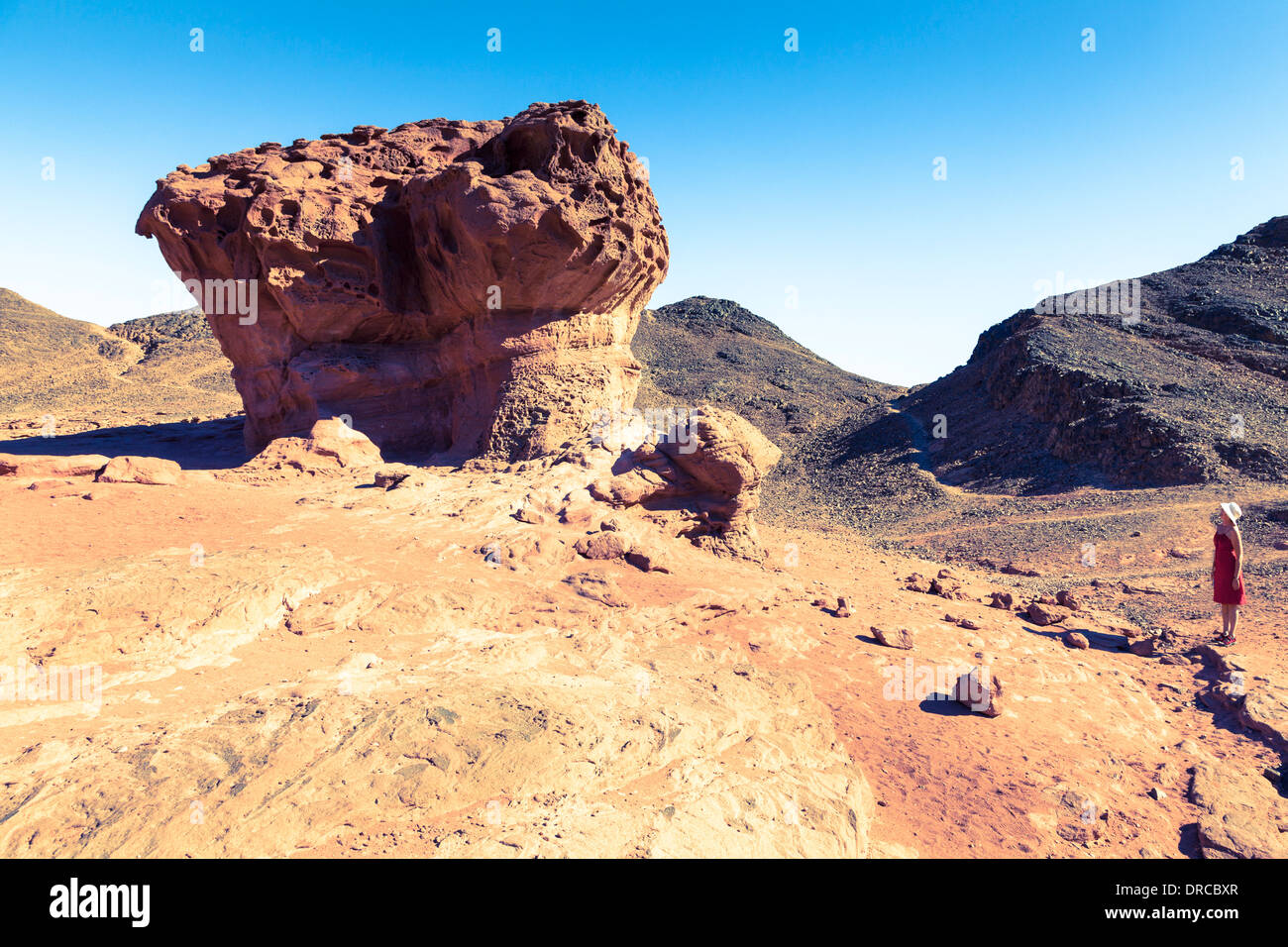 Pilz Felsformation im Timna Park in Israel Stockfoto