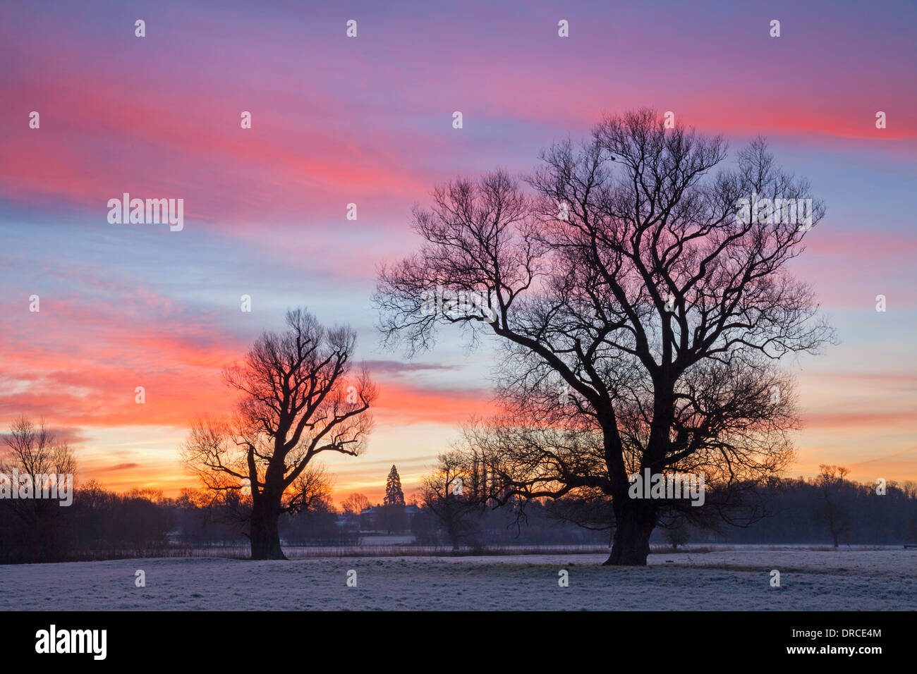 Spektakulären Sonnenaufgang Grantchester Meadows, Cambridge UK. Stockfoto