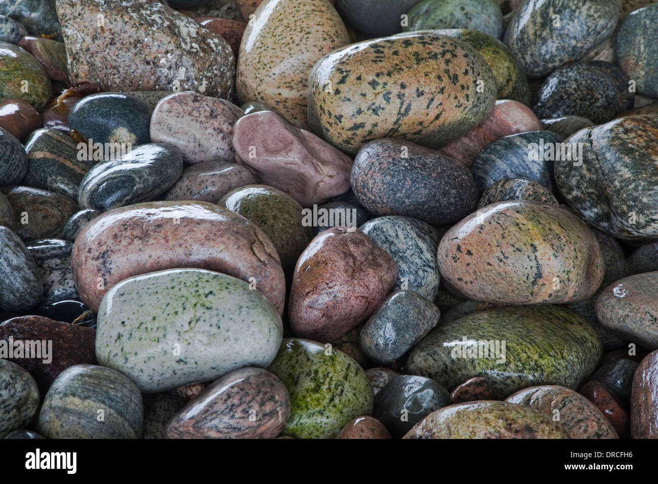 Nahaufnahme der nassen Felsen Stockfoto