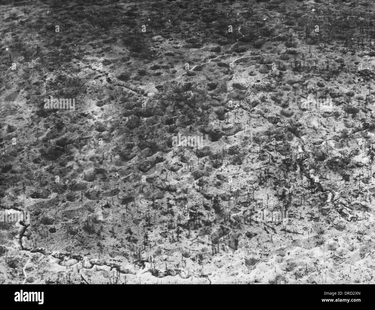 Winterschlacht in der champagne Fotos und Bildmaterial in hoher