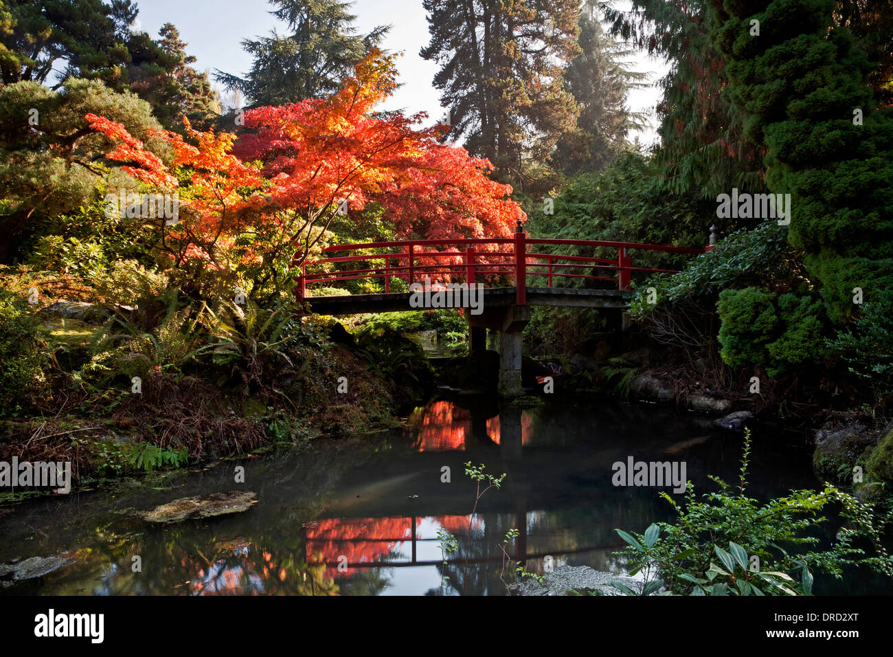 WASHINGTON - Herbst Farbe im Herzen Brücke Kubota Garden in Seattle. Stockfoto