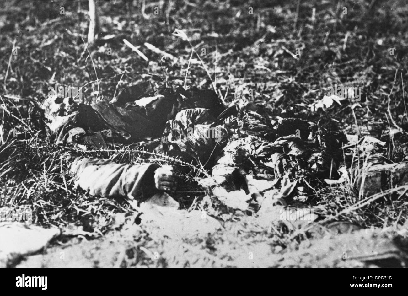Tote französische Soldat WWI Stockfoto