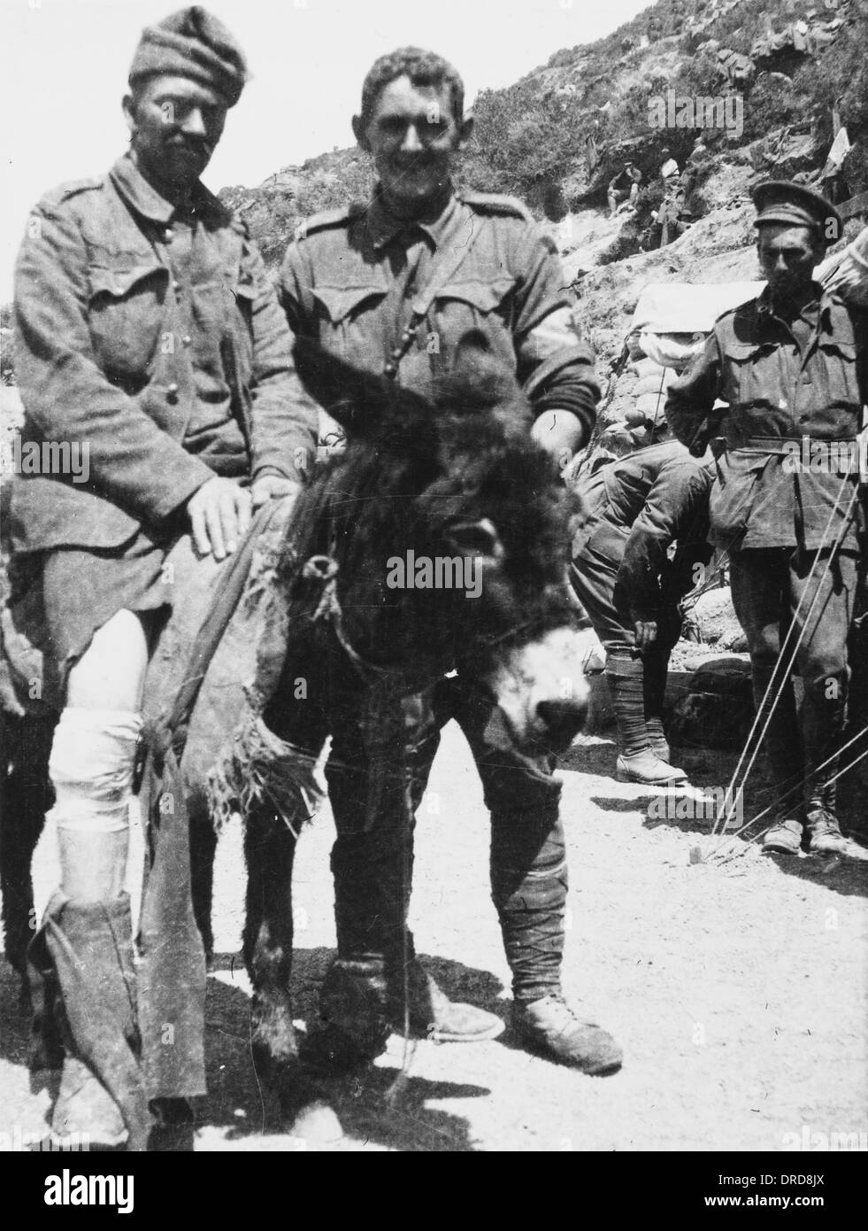John Simpson und seinem Esel, Erster Weltkrieg Stockfoto