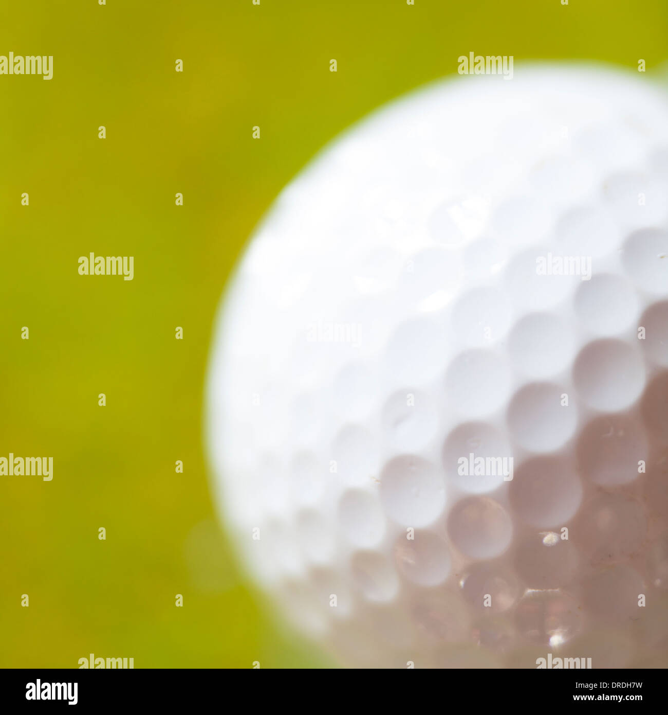 Weiße Golfball vor einem grünen Hintergrund Stockfoto