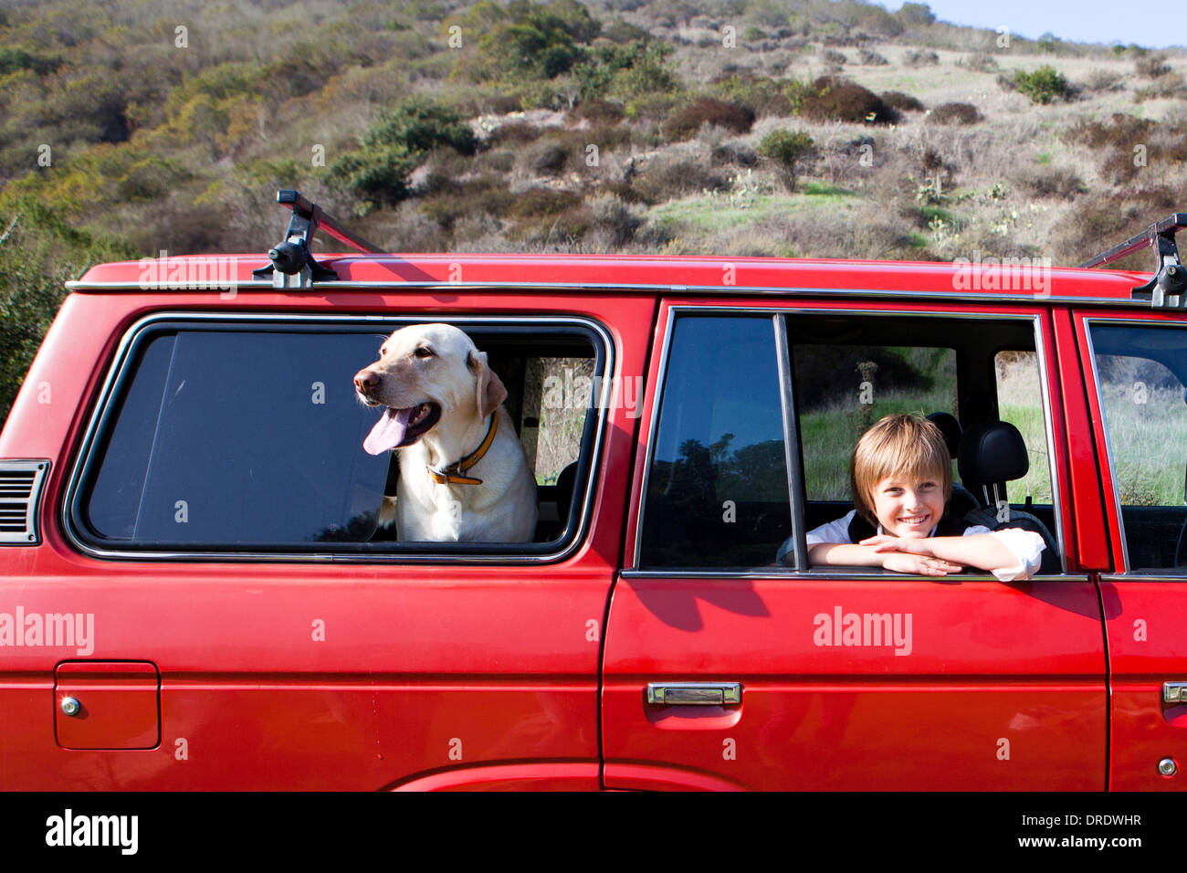 Junge und Hund hängen aus den Fenstern eines roten SUV Stockfoto