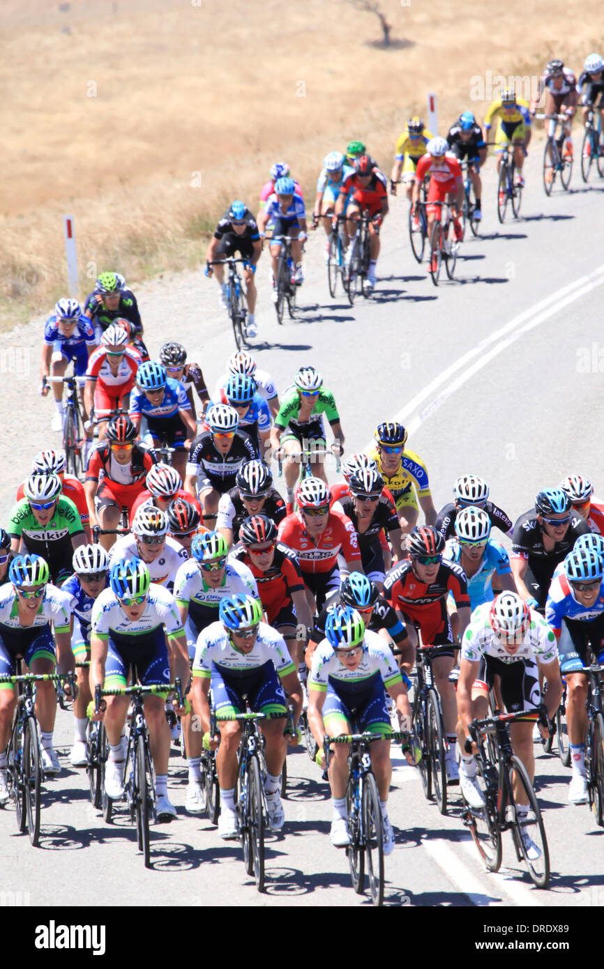 Myponga, South Australia, Australien, 24. Januar 2014. Fahrer, nähert sich des Königs des Berges Ziellinie bei Myponga in 2014 Santos Tour Down Under. Stockfoto