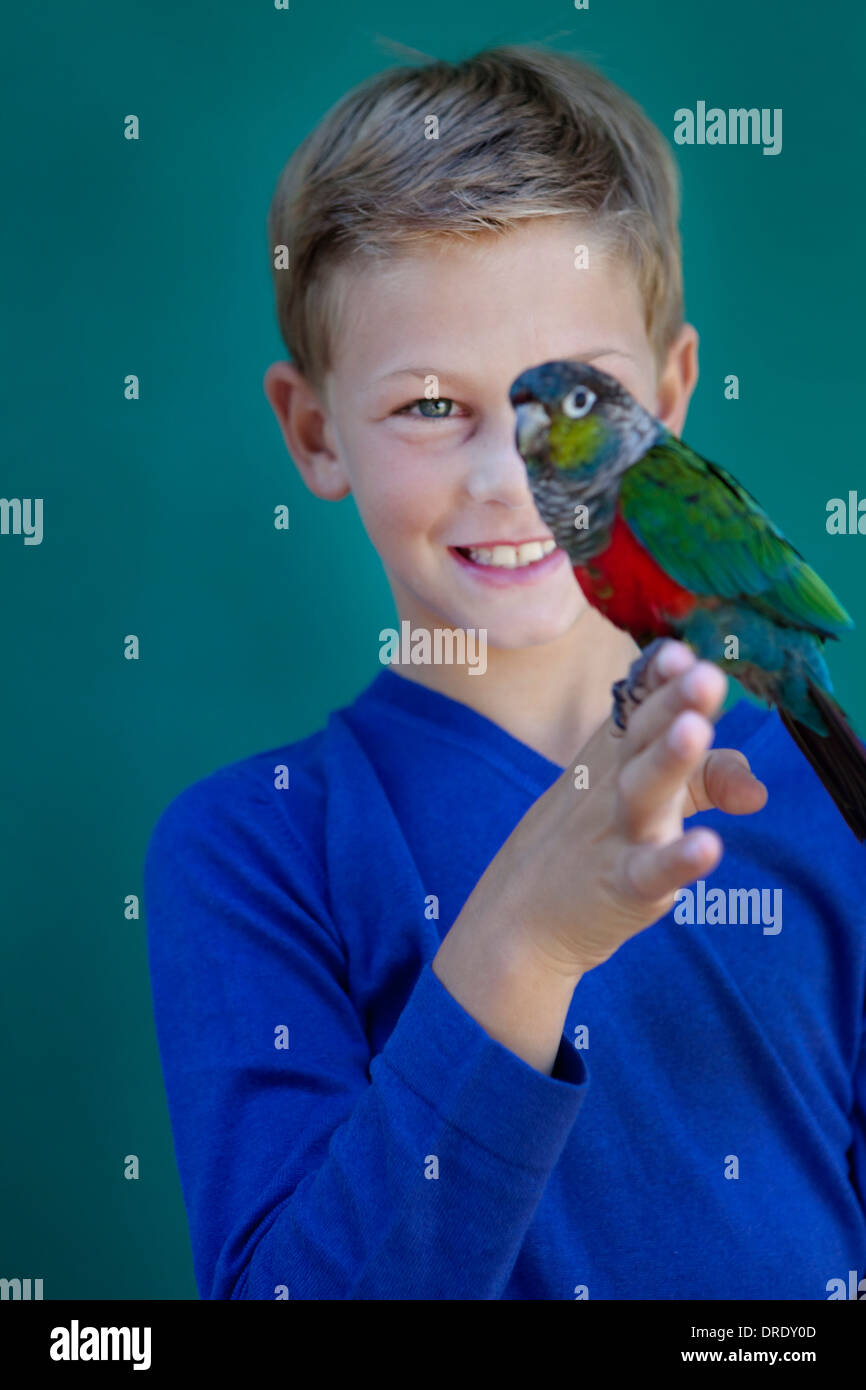 Junge mit Papagei Stockfoto