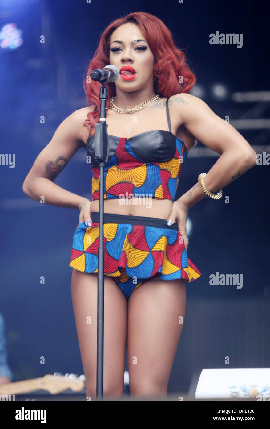 Stoosh Party im Park 2012 in Leeds, England Temple Newsam Park - 22.07.12 Stockfoto