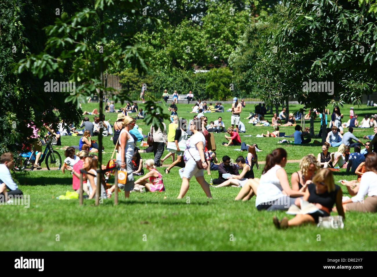 Londoner genießen Sie die Sonne im Hyde Park an einem sehr warmen Nachmittag in der Hauptstadt. Den letzten Wetter warmen eine willkommene Abwechslung nach einem miserablen Start in die britische Sommer. Erfahrenste des Vereinigten Königreichs hat heftige Regenfälle und einige Bereiche wurden unter schweren Überschwemmungen.  London, England - 23.07.12 Stockfoto