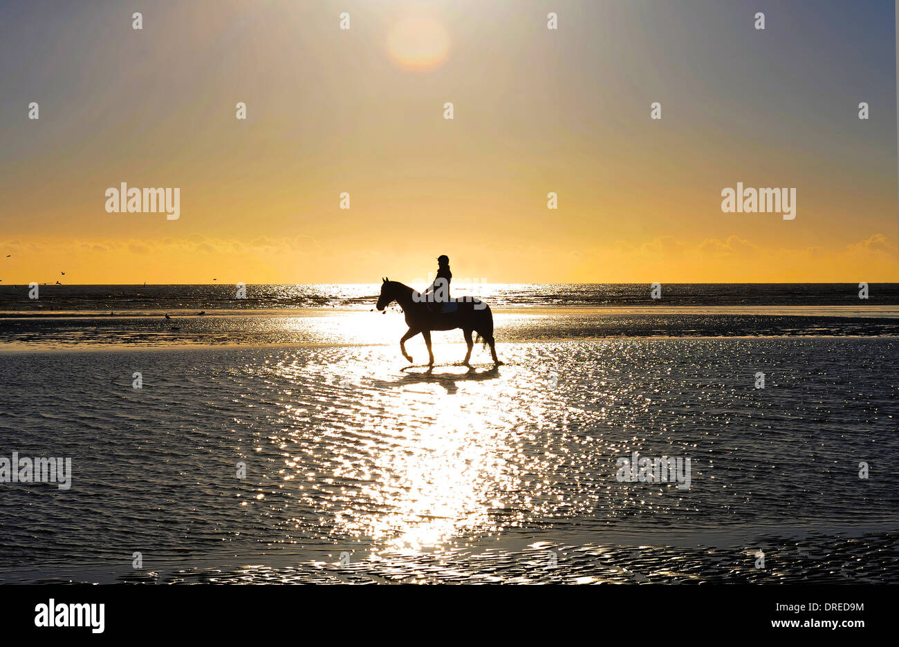Pferd und Reiter am Strand von Camber Sands, Roggen, East Sussex, UK Stockfoto