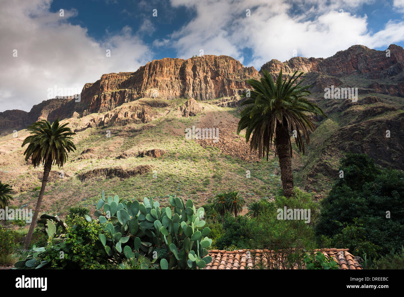 Das Dorf Arteara in den steilen Barranco de Fataga, durch eine dicke Abfolge von Trachyt und Sphäruliten Lavaströme Mauern Stockfoto