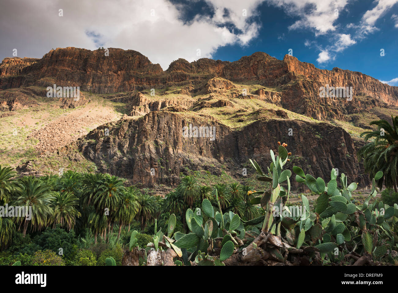 Das Dorf Arteara in den steilen Barranco de Fataga, durch eine dicke Abfolge von Trachyt und Sphäruliten Lavaströme Mauern Stockfoto