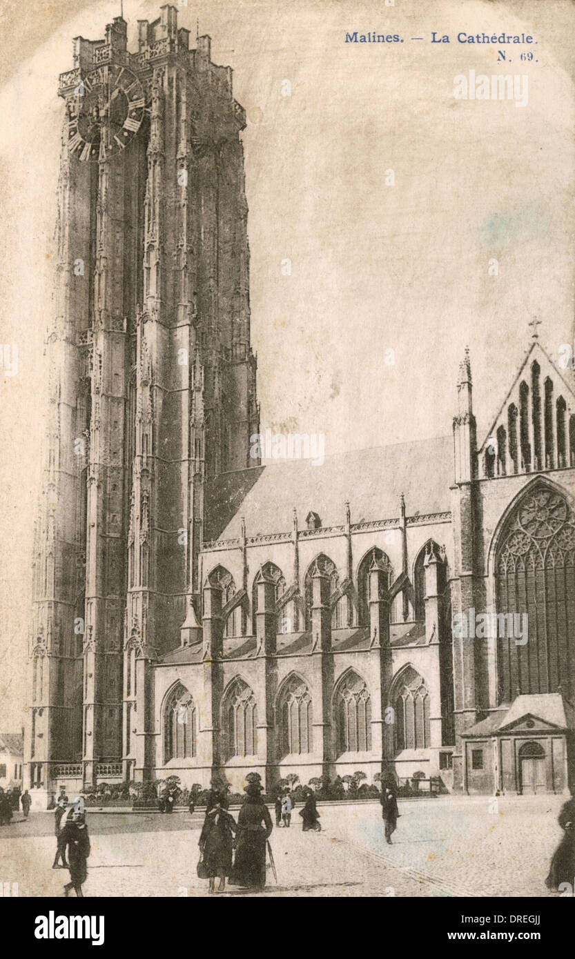 Mechelen: Kathedrale von St Rombaux Stockfoto