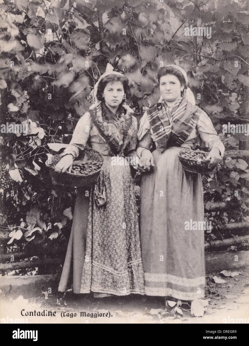 Land-Frauen in der Region Lago Maggiore in Italien Stockfoto