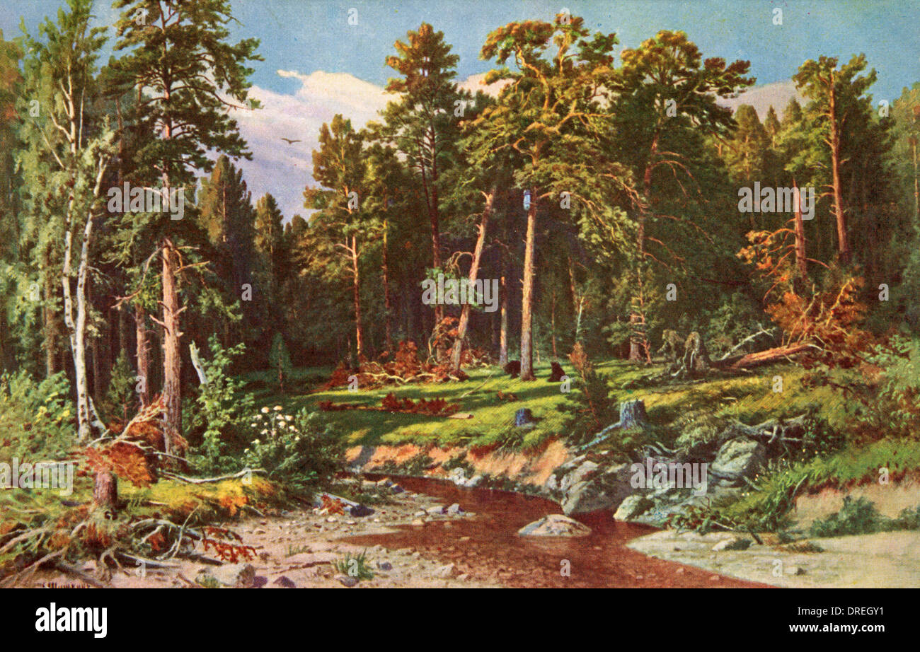 Pinienwald in Viatka Provinz, Russland Stockfoto