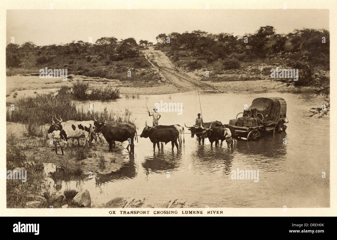 Simbabwe, Afrika - Ochsenwagen Lumene Fluss überquert Stockfoto