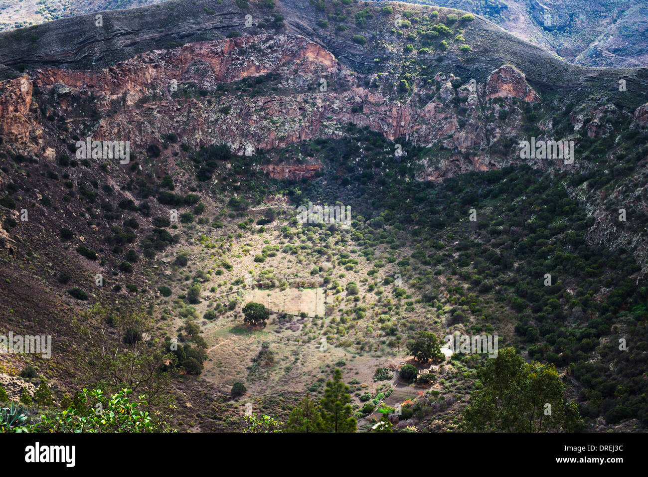 Blick vom Vulkankegel des Pico de Bandama in den Krater des Vulkans Verwandte der Caldera de Bandama Stockfoto