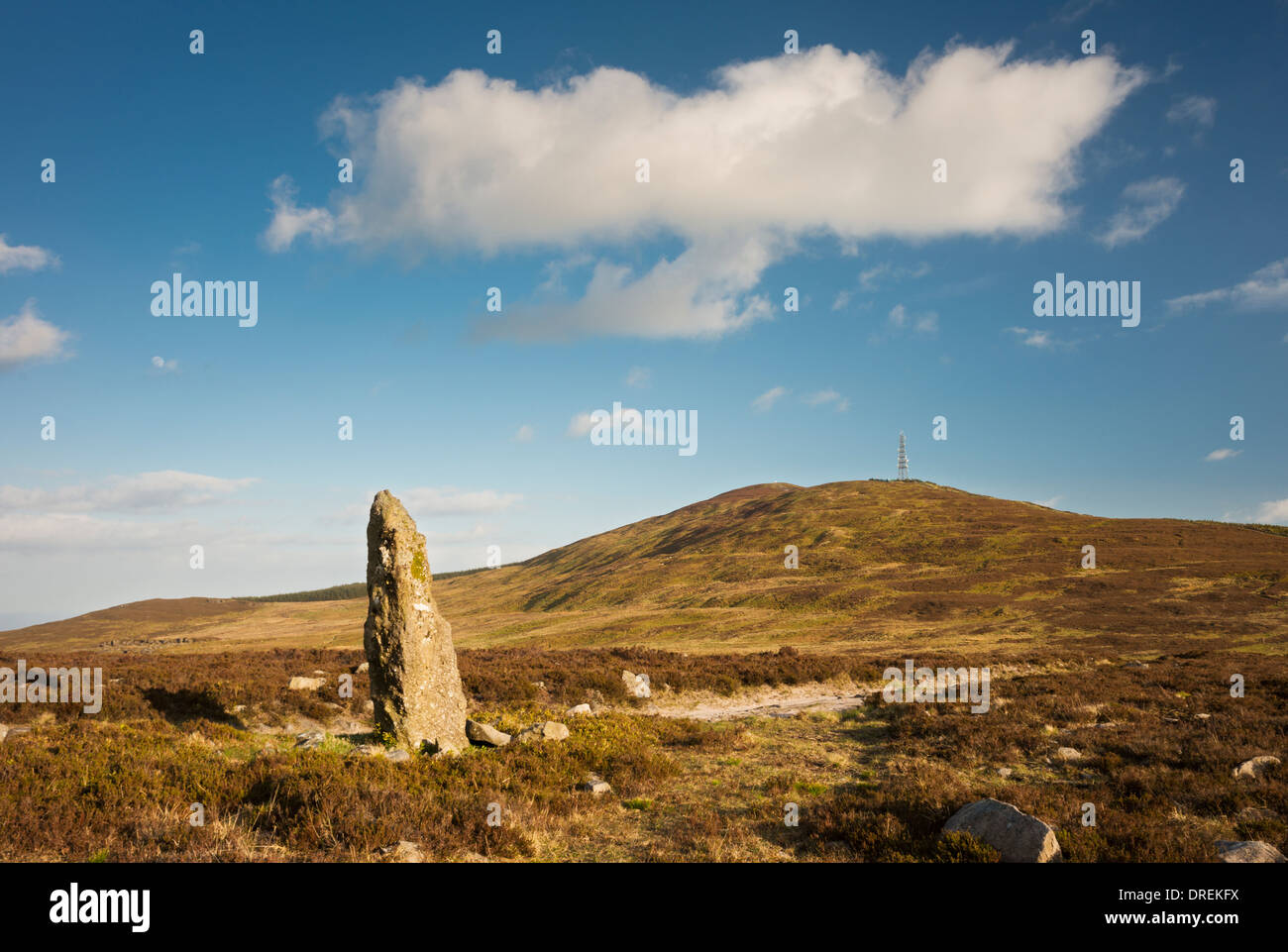 Stein auf Treenearla Commons, Monavullagh Mountains, County Waterford, Irland, mit Handy-Mast in Berg im Hintergrund Stockfoto