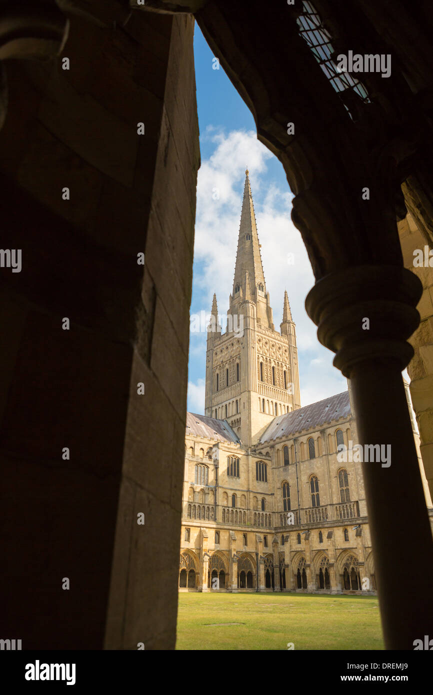 Norwich Kathedrale von innen die Kreuzgänge, Norfolk, England Stockfoto
