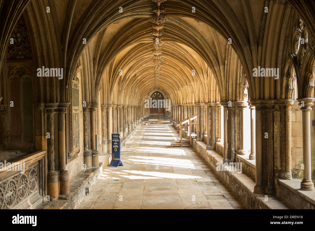 Norwich Cathedral Kreuzgänge, Norfolk, England Stockfoto