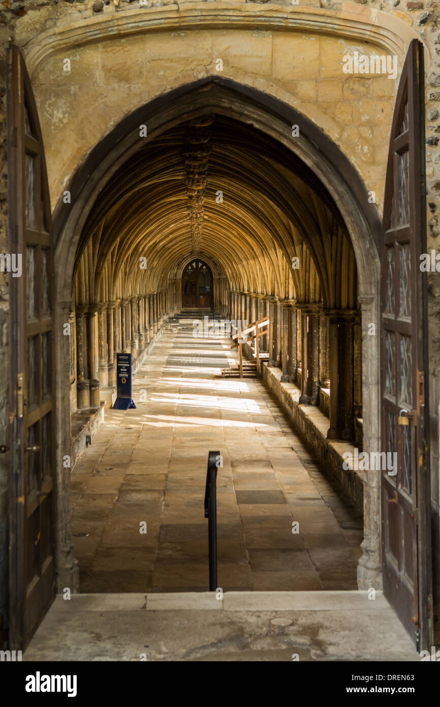 Norwich Cathedral Kreuzgänge, Norfolk, England Stockfoto