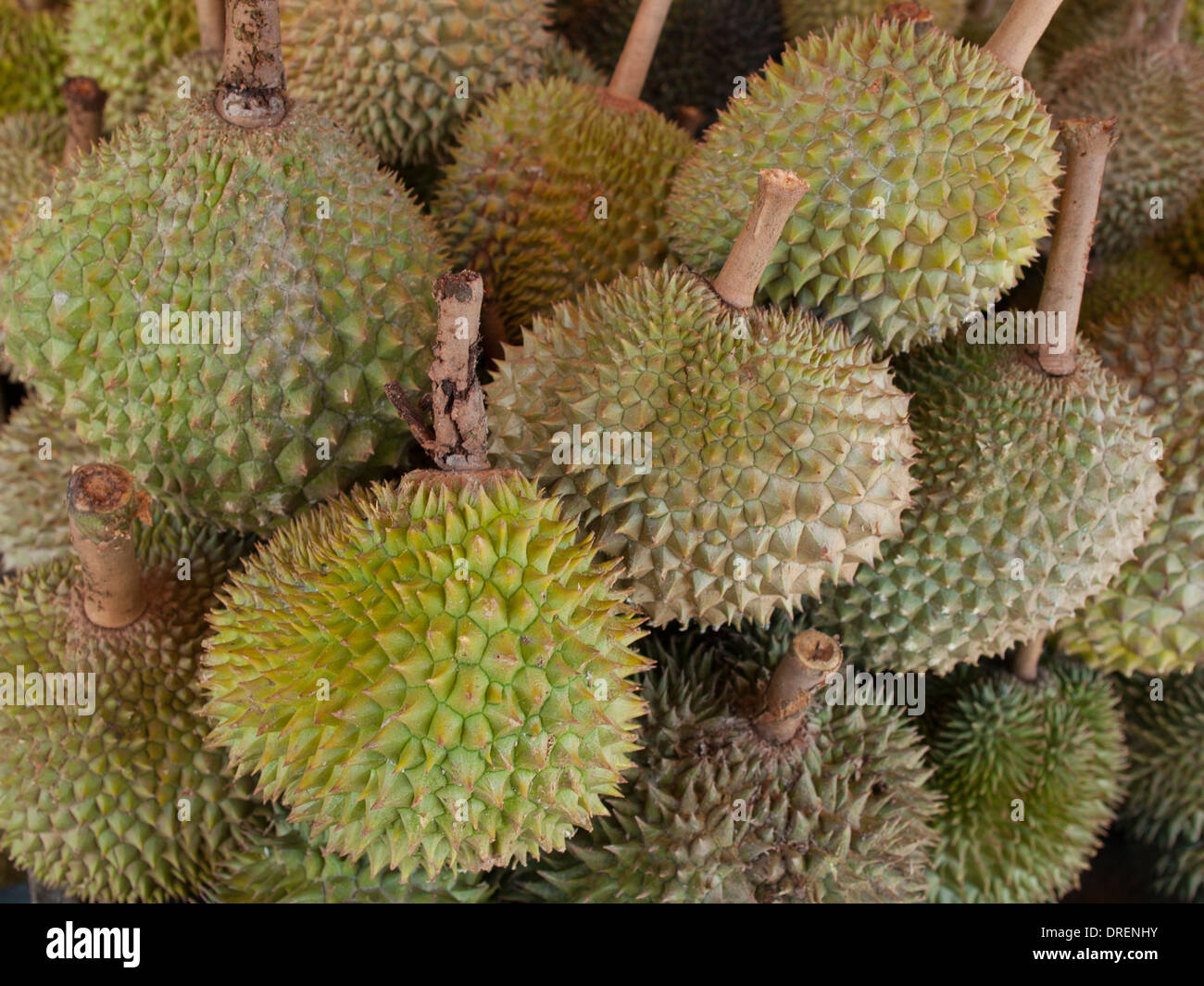 Durian-Früchte für den Verkauf auf einem malaysischen am Straßenrand Marktstand Stockfoto