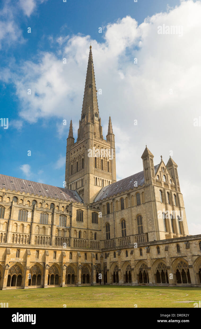 Kathedrale von Norwich, Norfolk, England Stockfoto