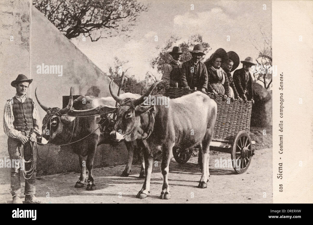 Italien - Siena - lokalen Country-Folk in einem Ochsen Wagen Stockfoto