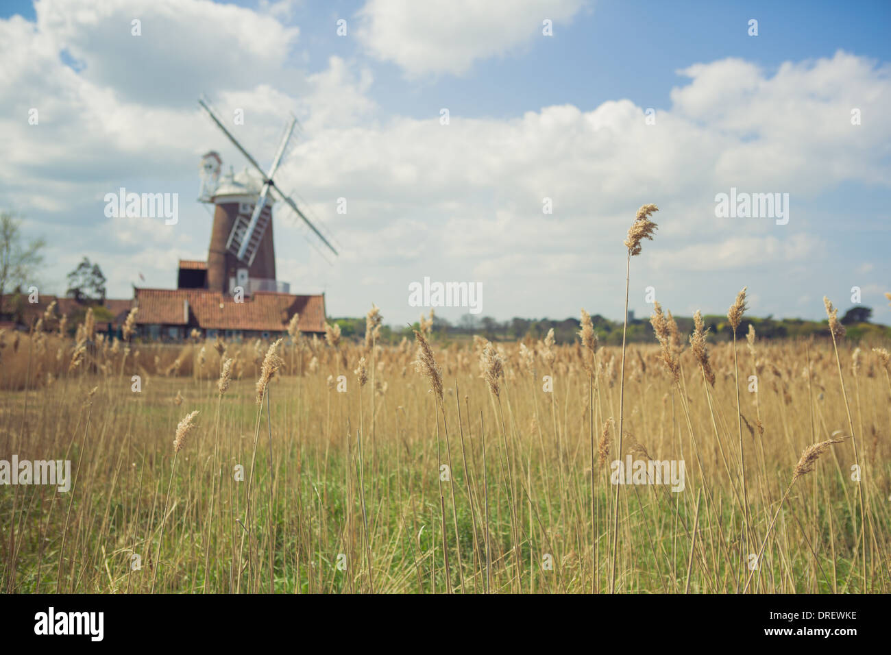 Cley Windmühle auf einem Reed-Sumpf. North Norfolk Baudenkmal, Cley-Next-the-Sea, Norfolk, Großbritannien. Stockfoto