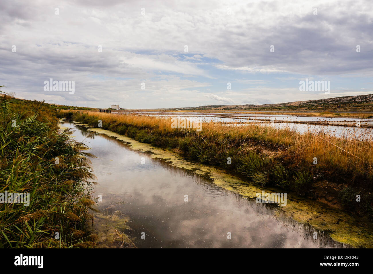 Süßwasser-Bach neben einer Kochsalzlösung. führenden Linien bis zum Horizont. Foto von Pag, Kroatien Stockfoto