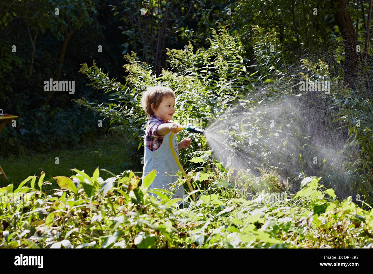 Mädchen Bewässerung von Pflanzen, München, Bayern, Deutschland Stockfoto