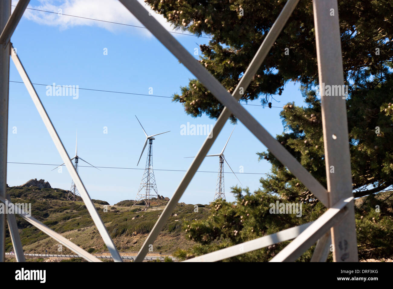Detail der Elektrizität Mast und grüner Baum mit Landschaft von Windkraftanlagen auf dem Hintergrund. Tarifa, Cádiz, Andalusien, Spanien. Stockfoto