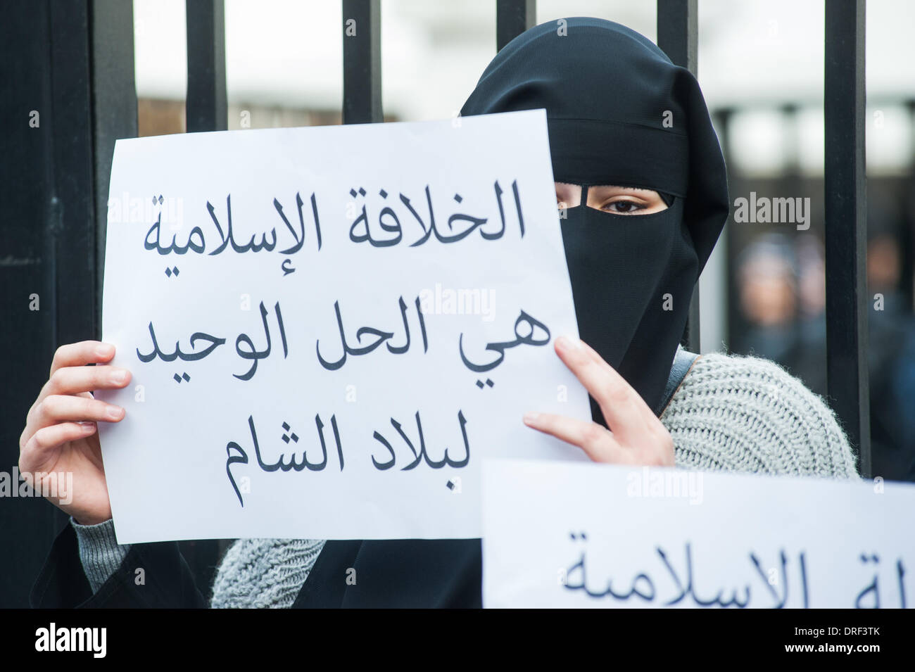 London, UK. 24. Januar 2014. Ein Demonstrant hält ein Plakat vor der Regents Park Moschee. Bildnachweis: Piero Cruciatti/Alamy Live-Nachrichten Stockfoto