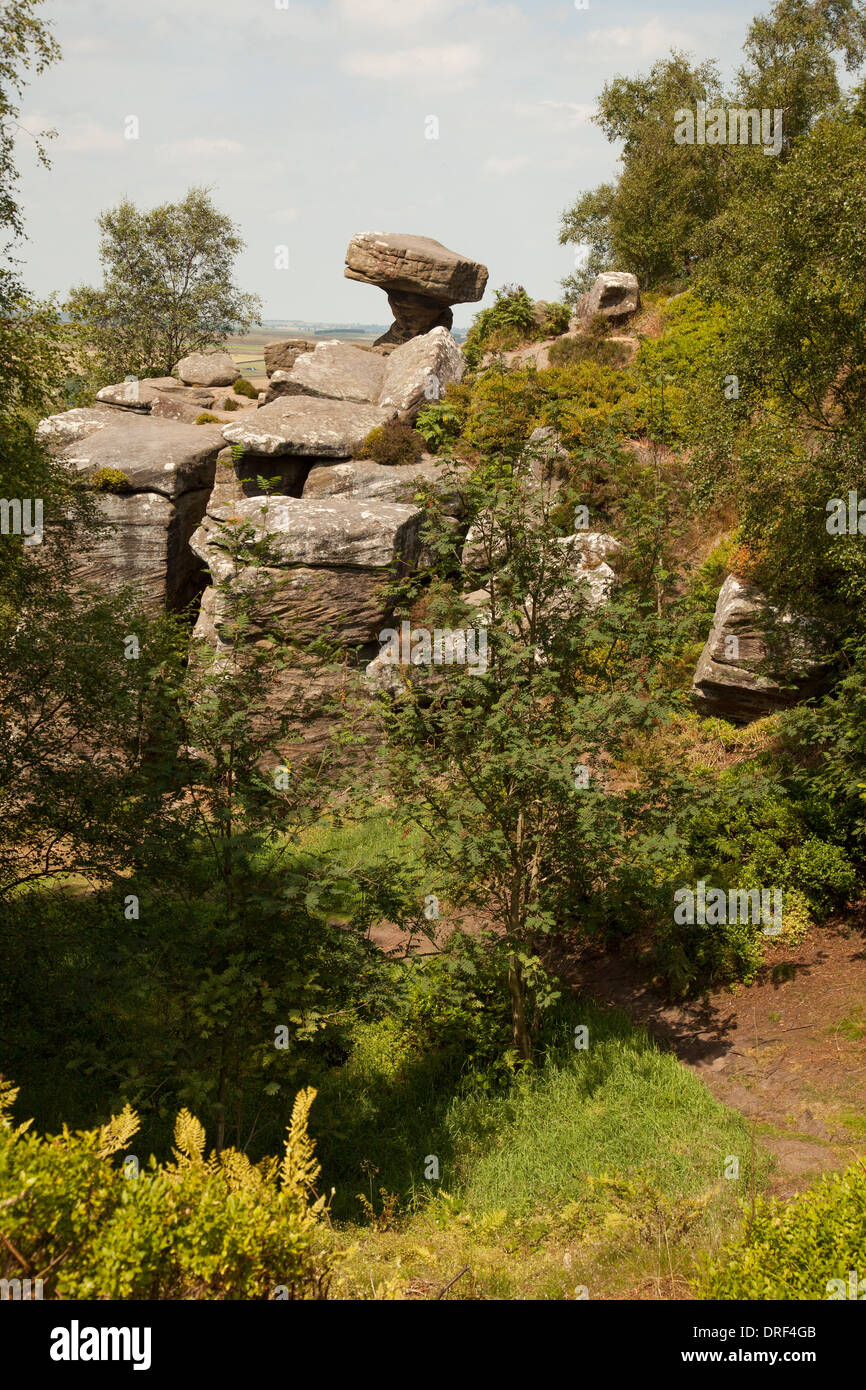 Der Amboss Brimham Rocks Yorkshire Stockfoto