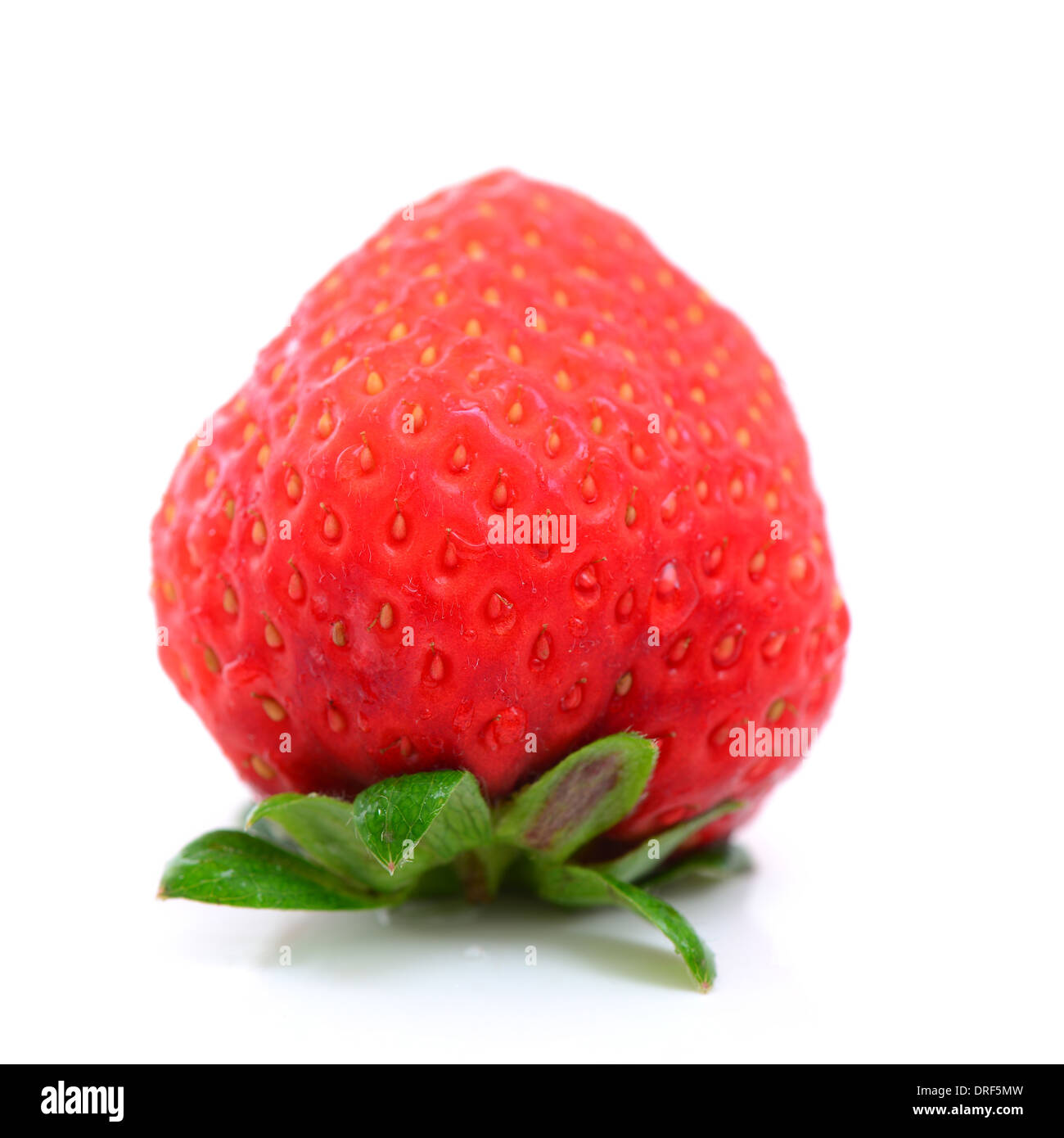 Erdbeere, isoliert auf weiss Stockfoto