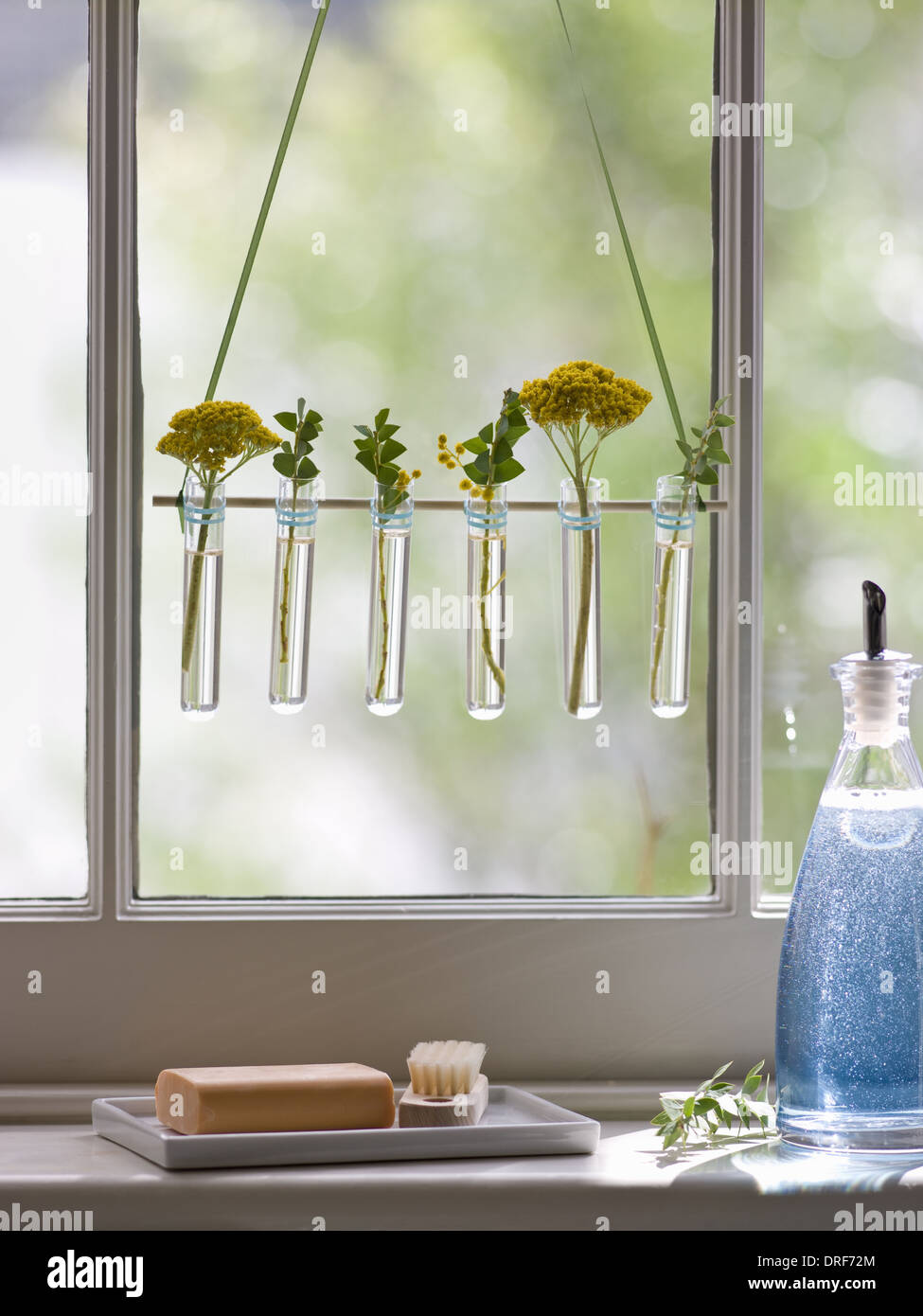 Maryland USA Reihe von kleinen Glasvasen hängen im Fenster Stockfotografie  - Alamy