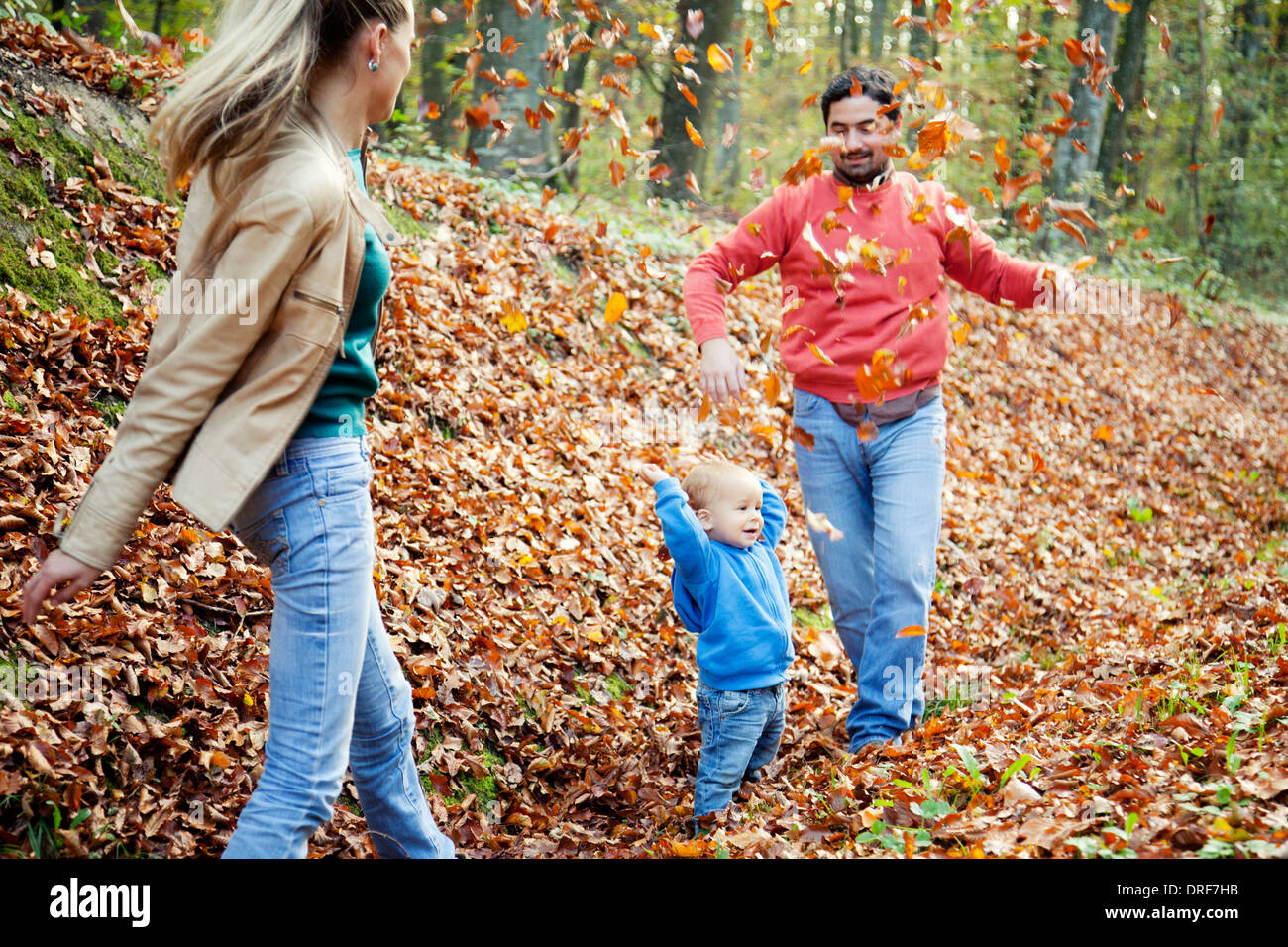 Familie mit einem Kind mit Herbstes spielen lässt, Osijek, Kroatien Stockfoto