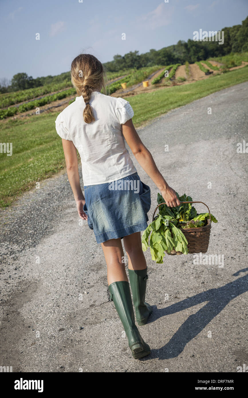 Maryland USA Mädchen Stiefel tragen Korb voller Frische Produkte  Stockfotografie - Alamy