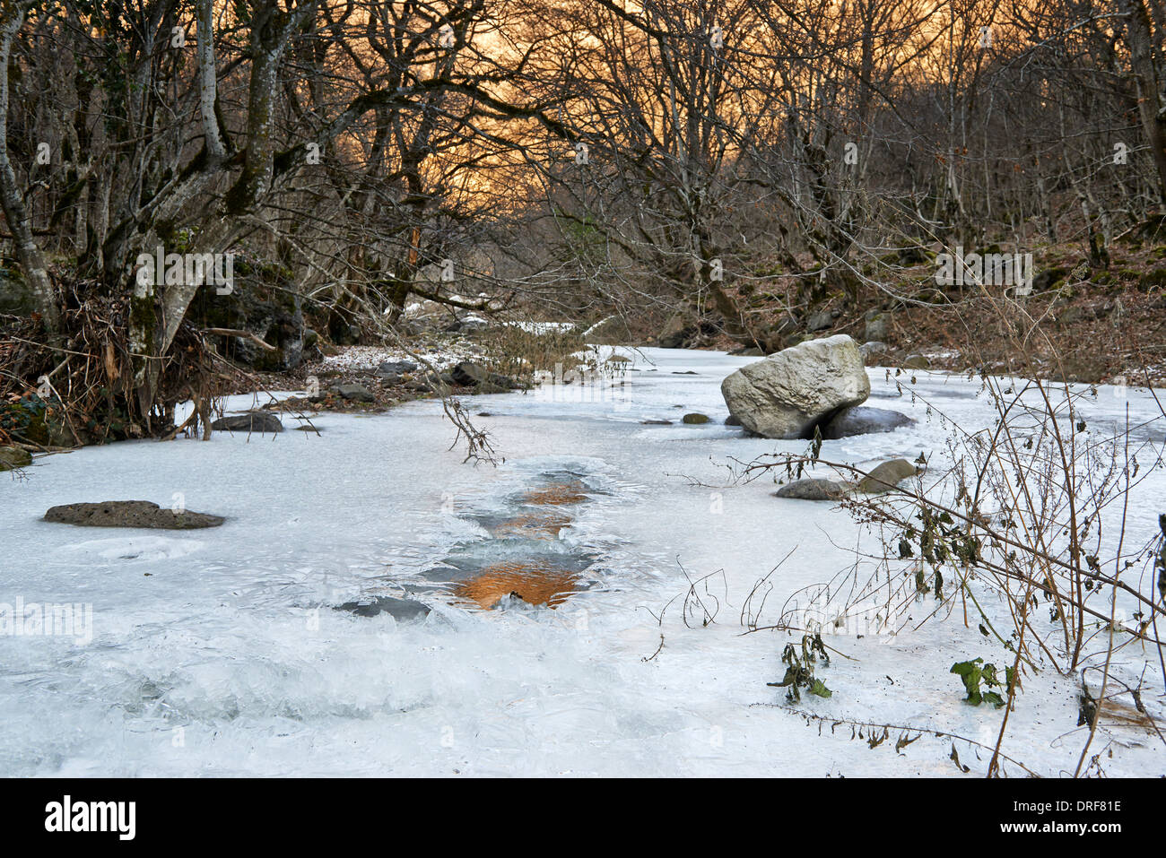 zugefrorenen Fluss im geheimen Wald bei Samschwilde, Kvemo Kartli, Georgien Stockfoto