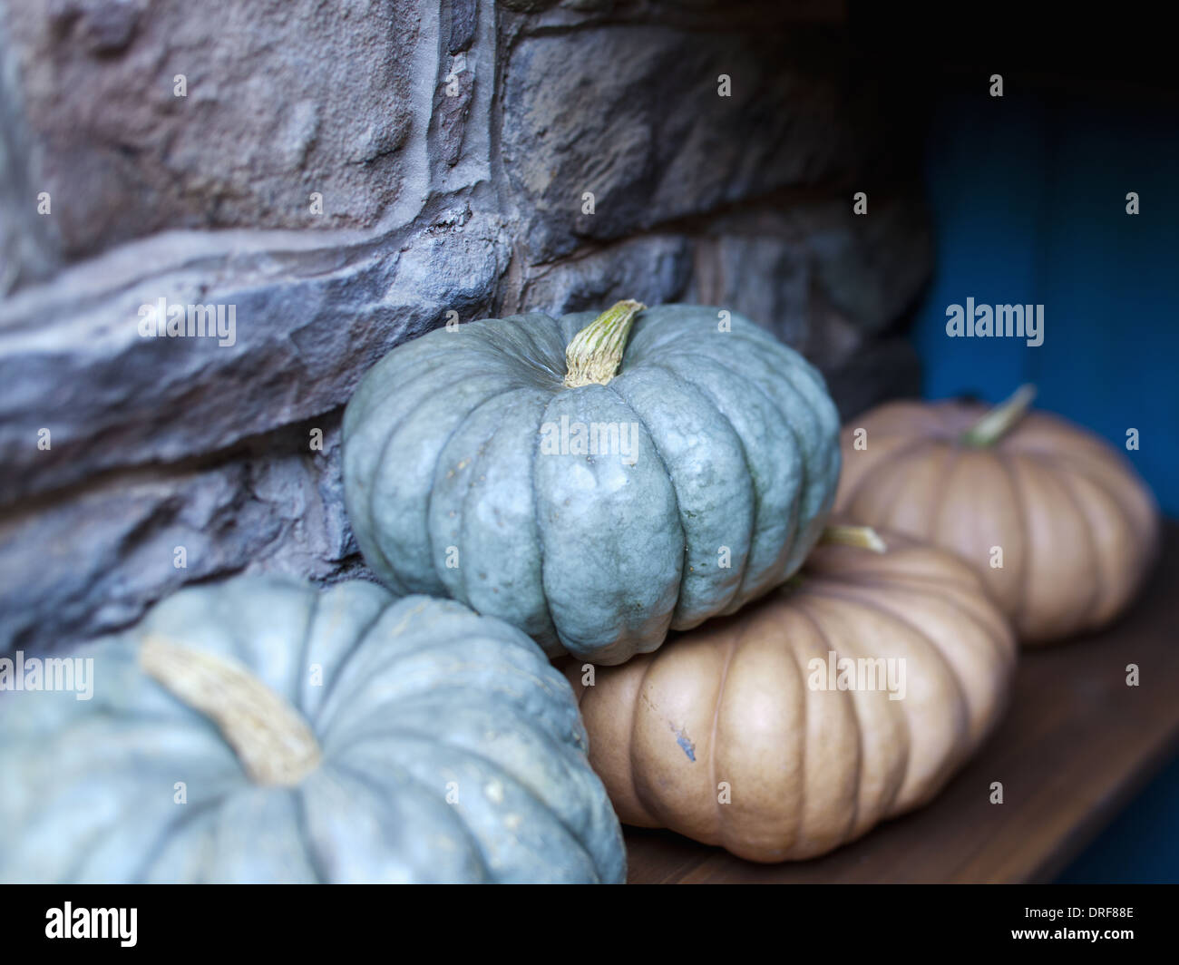 Maryland USA Gruppe von Kürbissen oder Kürbisse im Speicher für den winter Stockfoto
