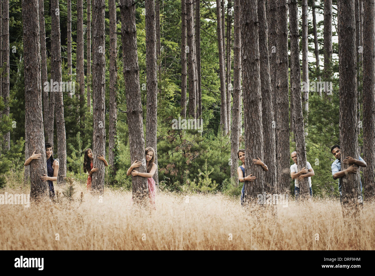 New York State USA Gruppe von Menschen umarmen Bäume im Wald Stockfoto