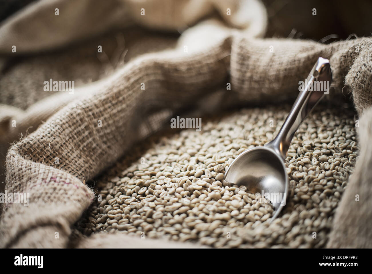 Staat New York USA hessischen Säcke Bohnen, Kaffeebohne Verarbeitung vergossen Stockfoto
