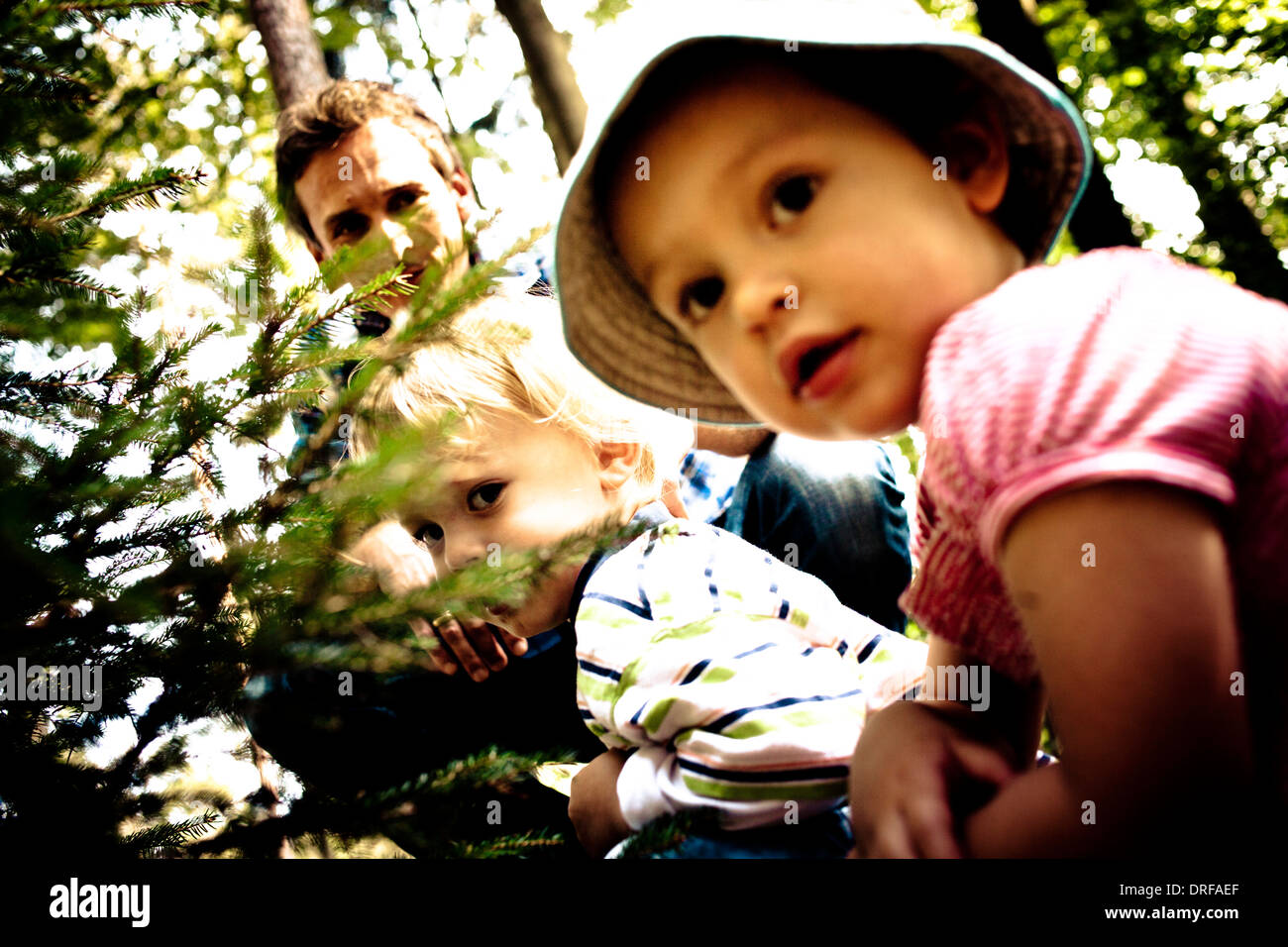 Familie im Wald, spielen verstecken und suchen, Bayern, Deutschland Stockfoto