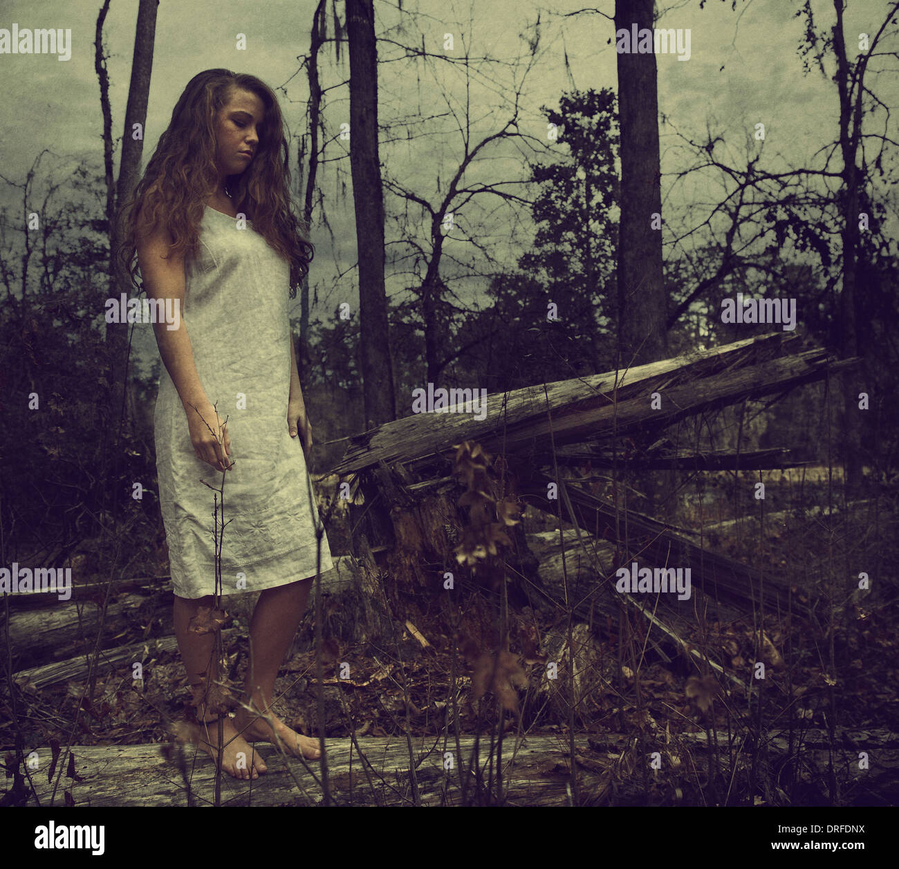 Frau im weißen Kleid stehen in Wäldern mit umgestürzten Bäumen Stockfoto